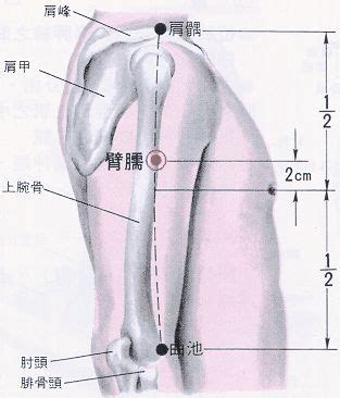 翼風穴|醫砭 » 經穴庫 » 翳風